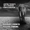 Maximum Strength Positive Thinking - Positive Thinking Network - Positive Thinking Doctor - David J. Abbott M.D.