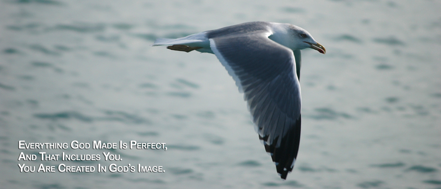 Real Power Maxing Out On God's Love - David J. Abbott M.D. - Positive Thinking Doctor