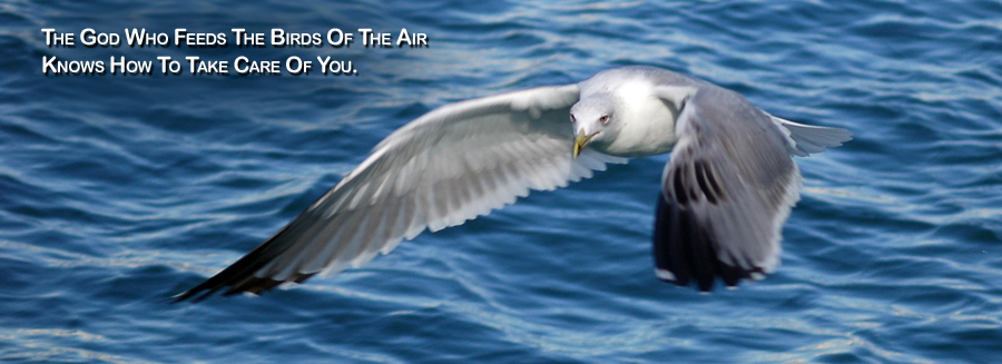 Real Power Maxing Out On God's Love - David J. Abbott M.D. - Positive Thinking Doctor