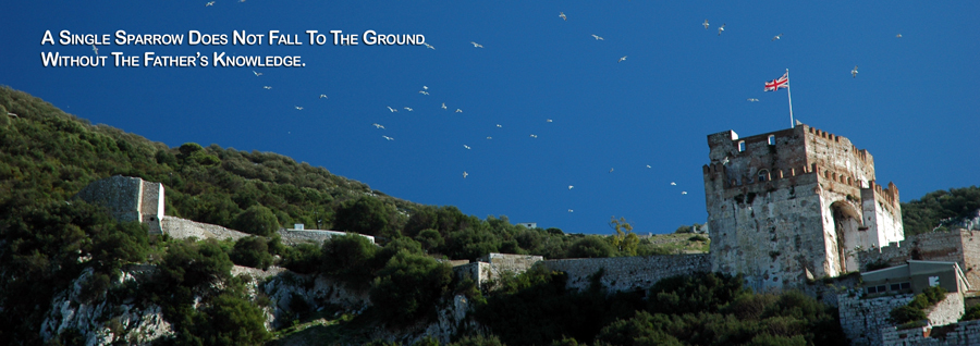 Real Power Maxing Out On God's Love - David J. Abbott M.D. - Positive Thinking Doctor