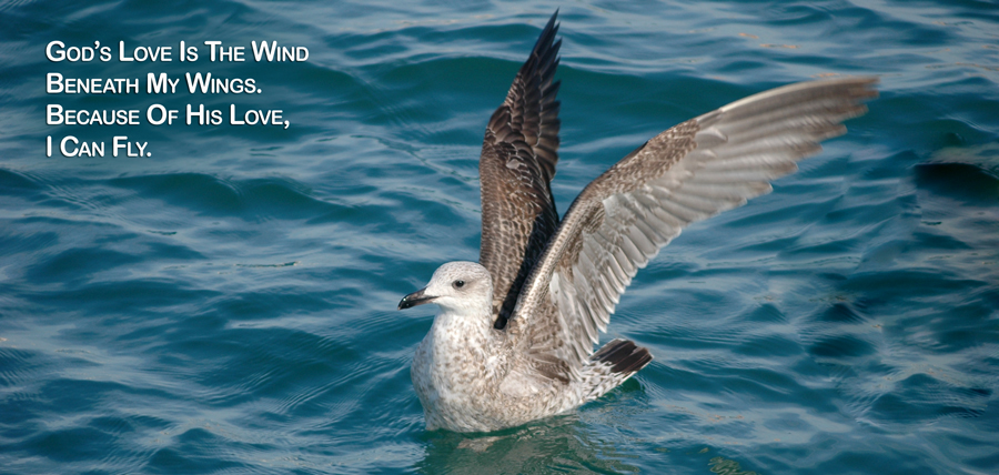 Real Power Maxing Out On God's Love - David J. Abbott M.D. - Positive Thinking Doctor